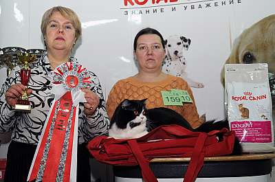 Выставка кошек 'Зимний Кэт-Салон'  22-23 февраля 2014 монопородные шоу DSC_1476r 159.jpg